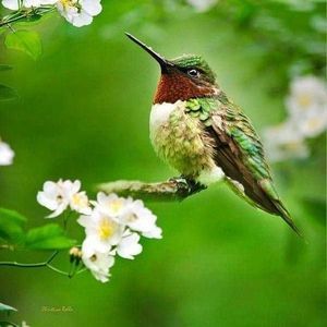 Meet your Posher, Michelle